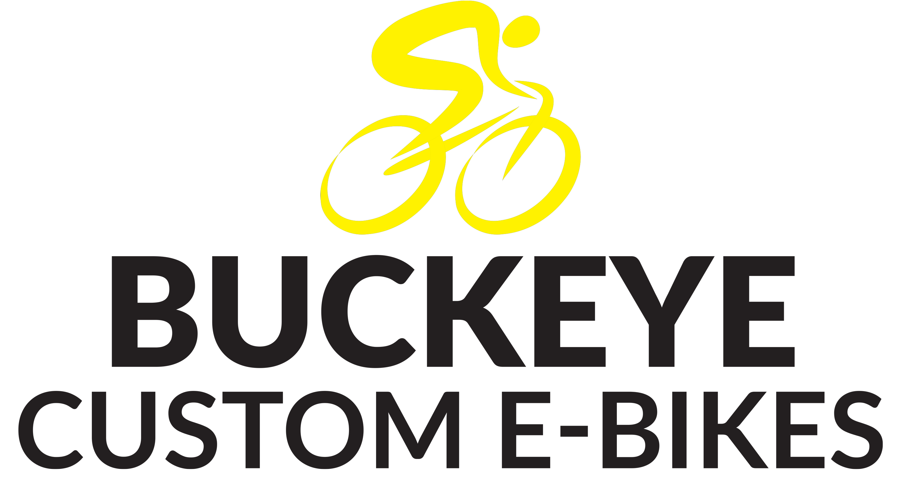 Buckeye Custom E-Bikes